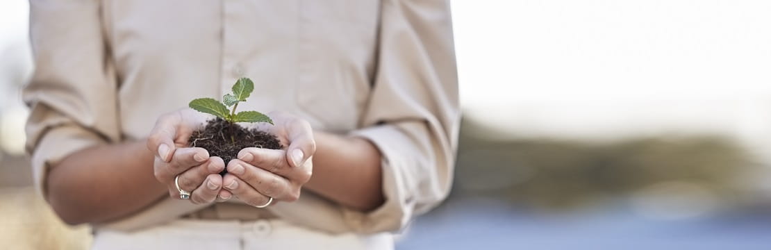 Woman holding a small green plant with soil in cupped hands.